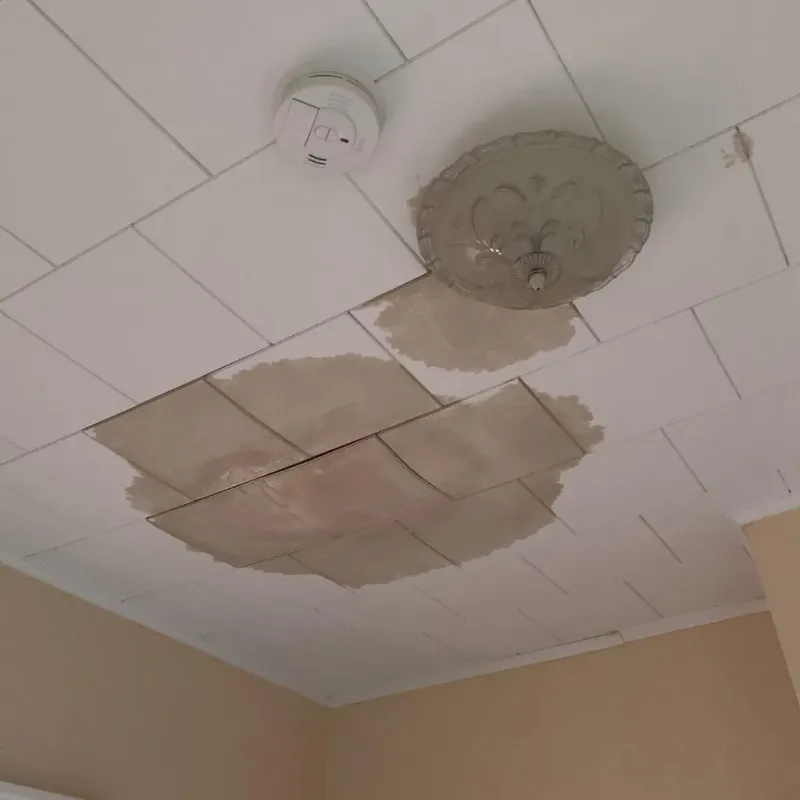 Ceiling Water Damage Repair in Burlington, NC
