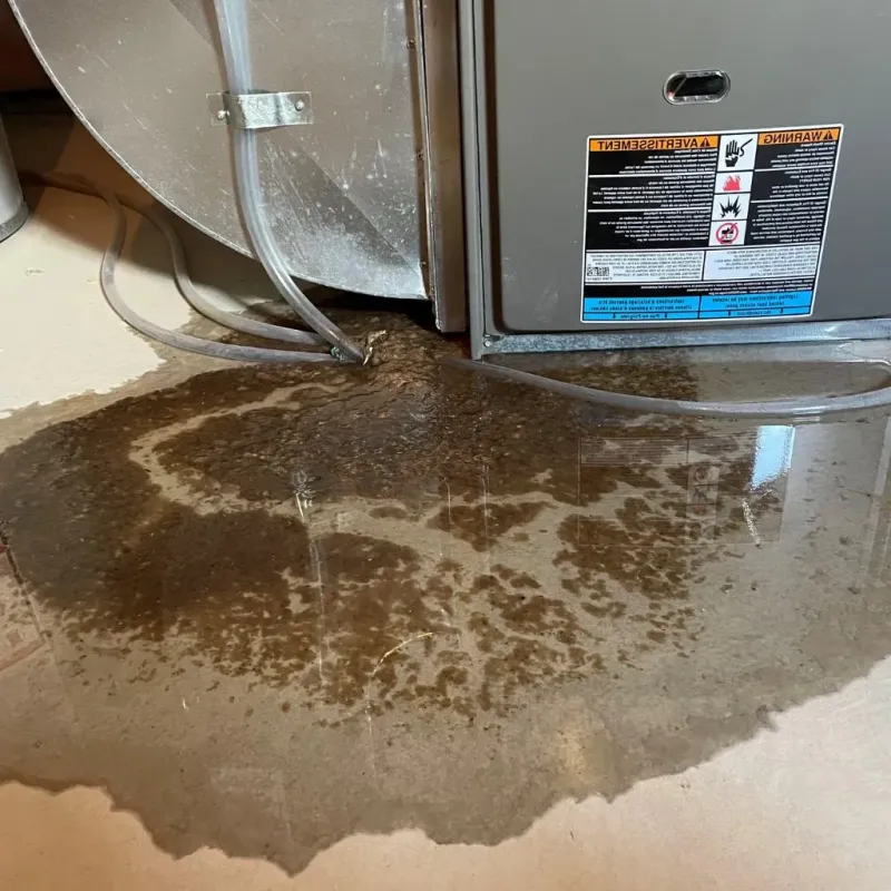 Pipe Burst and Leak Restoration in Burlington, NC