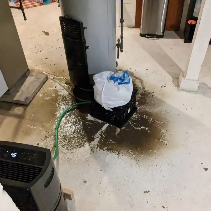 Sewage Backup Cleanup Service in Burlington, NC